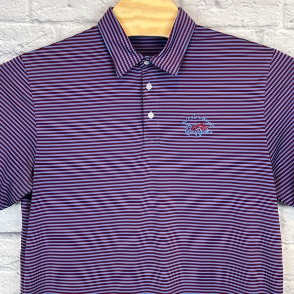 Criquet Mens Short Sleeve Blue Red Striped Golf Polo Shirt Logo Size Large - Picture 4 of 9